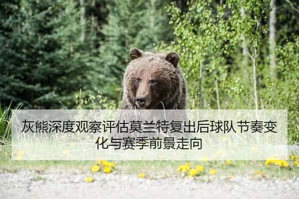 灰熊深度观察评估莫兰特复出后球队节奏变化与赛季前景走向